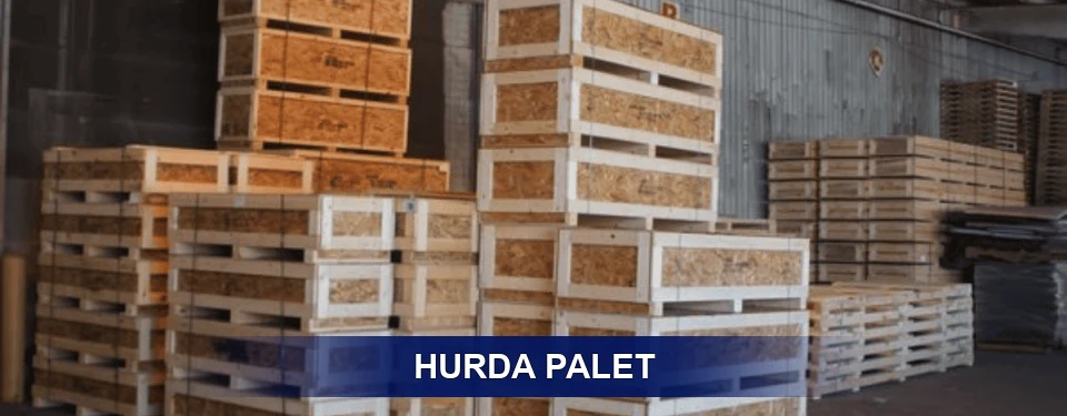 Sınıflandırma