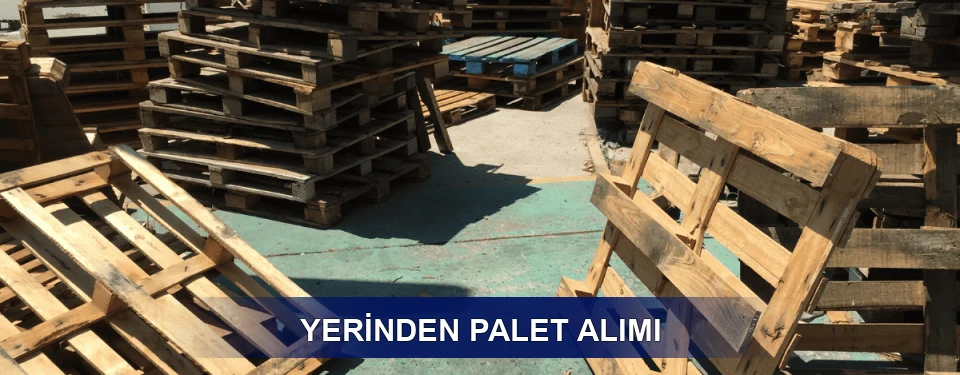 Fiyatlandırma